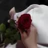زهراء