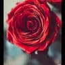 Ᏸ B.