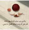 فاطمه عابر