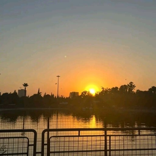 زياد س.