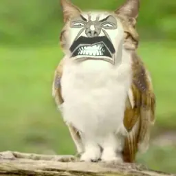 Avatar of Ganjoo
