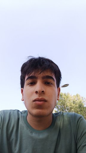 مهيمن 