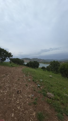 sanna