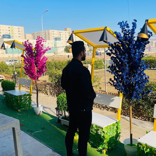 محمد توفيق