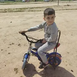 Avatar of مصمم محتوى