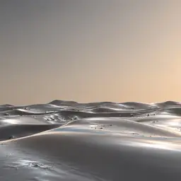 صورة مواهب التوم