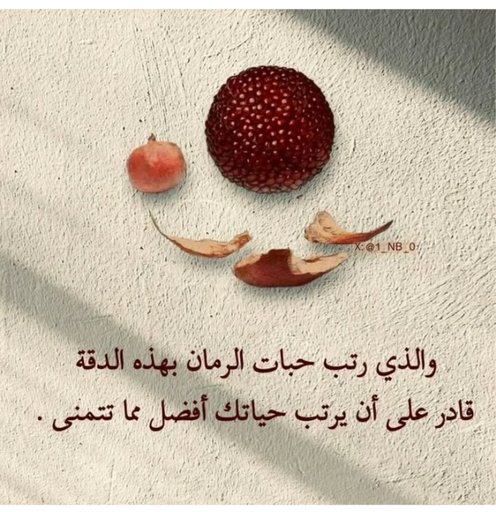 فاطمه عابر