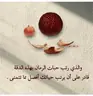 فاطمه عابر