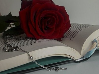 إدخال البيانات والاسماء بشكل أكثر دقة