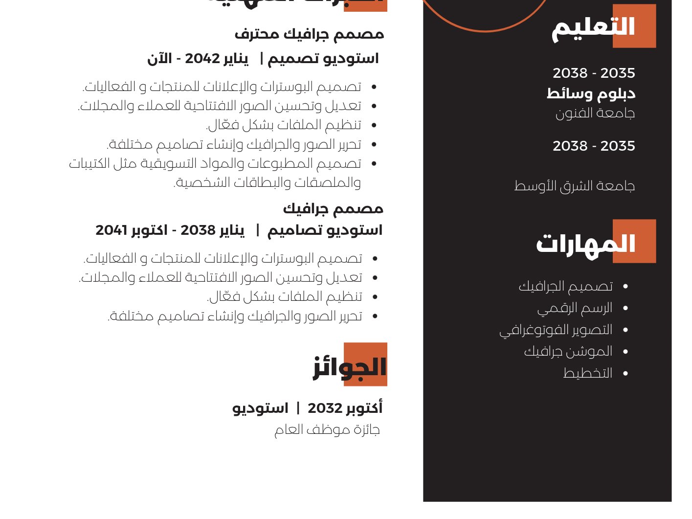 تصميم Cv احترافي باللغة العربية والإنجليزية, image 2 of 2