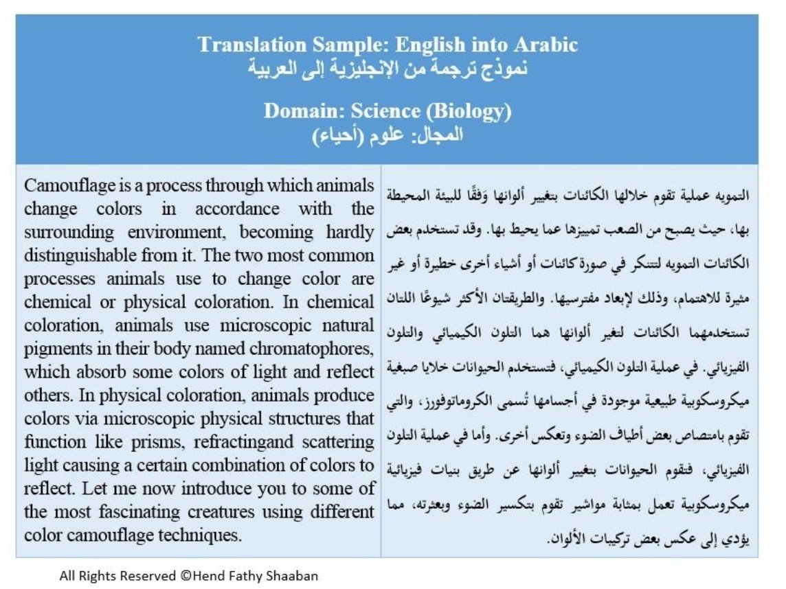 English ↔ Arabic Translation Sample, image 3 of 3