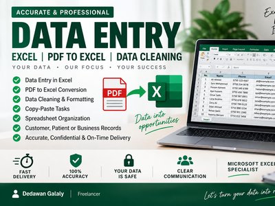 I will do accurate data entry, Excel formatting and PDF to Excel conversion