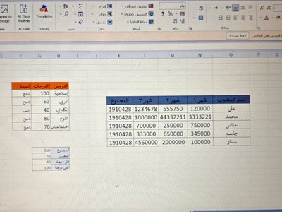 سأقوم بإدخال البيانات باحترافية باستخدام Microsoft Excel وWord