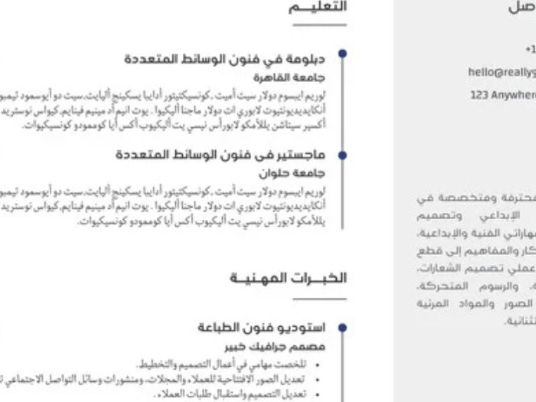 *العنوان:* تصميم سيرة ذاتية احترافية PDF عربي انكليزي *الوصف:* اصمم لك سيرة ذاتية CV احترافية, image 1 of 3
