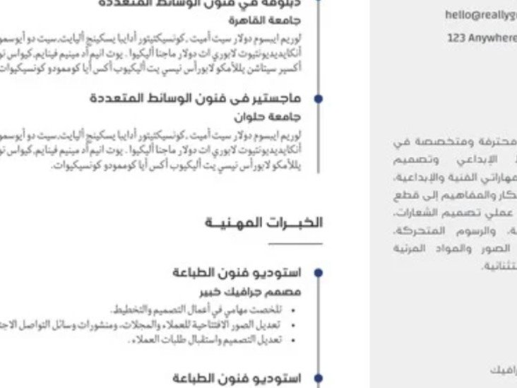 *العنوان:* تصميم سيرة ذاتية احترافية PDF عربي انكليزي *الوصف:* اصمم لك سيرة ذاتية CV احترافية, image 3 of 3