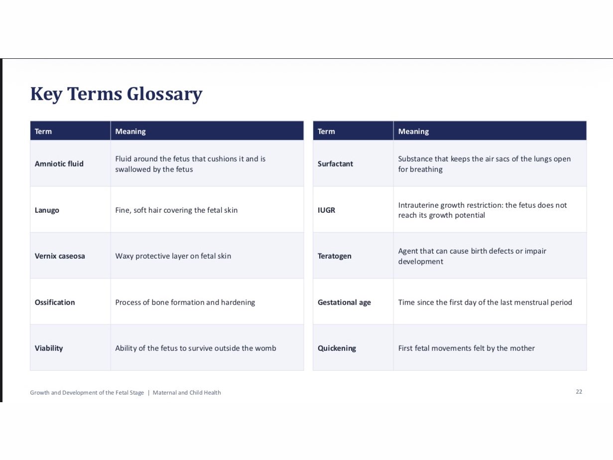 Editable PowerPoint: Growth and Development of the Fetal Stage (24 slides, nursing level), image 4 of 5
