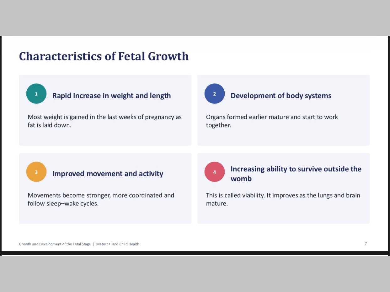 Editable PowerPoint: Growth and Development of the Fetal Stage (24 slides, nursing level), image 3 of 5
