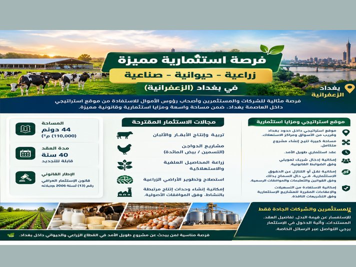 نقوم بتعديل و هيكلة وتدقيق عرضك التجاري بالكامل لنحوله إلى "بطاقة عرض استثمارية واحترافية", image 2 of 2