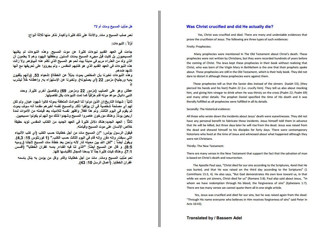 كتابة و ترجمة اي كتاب أو نص pdf او word, image 4 of 5