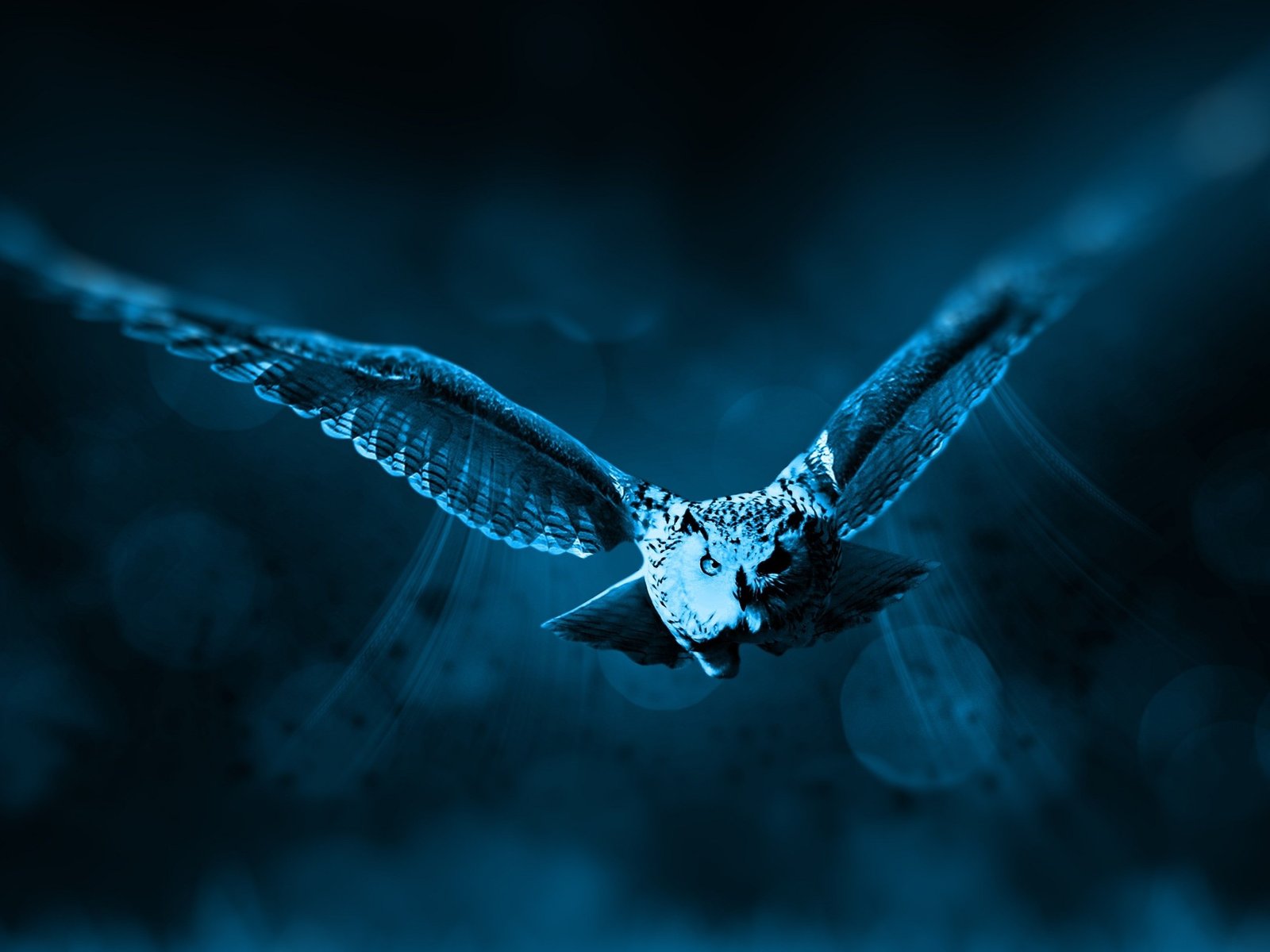 تصميم مقاطع Ai