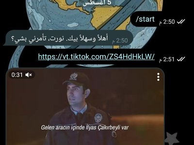 تطوير البرمجيات والذكاء الاصطناعي (Software & AI Development)