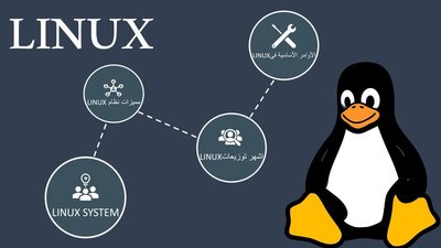 Professional Linux System PowerPoint Presentation Design