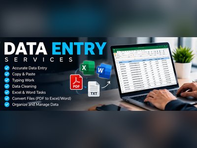 إدخال البيانات وتنظيم ملفات Excel باحترافية