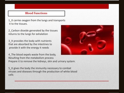 PowerPoint presentation